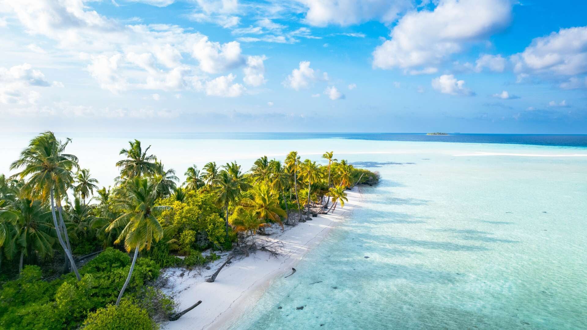 МАЛДИВИ - НОВА ГОДИНА 2026 / САМОЛЕТНА ПРОГРАМА С ПОЛЕТ ОТ СОФИЯ / 8 НОЩУВКИ, 11 ДНИ / 29.12.2025 - 08.01.2026