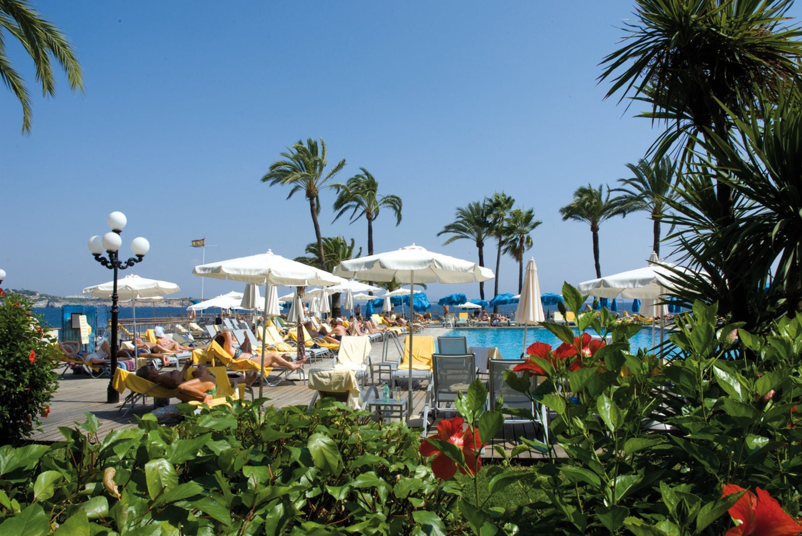photo