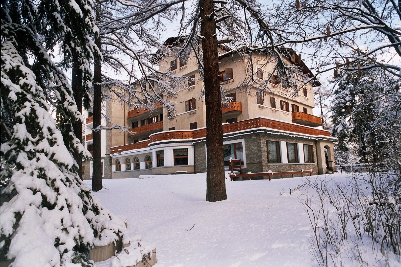 photo