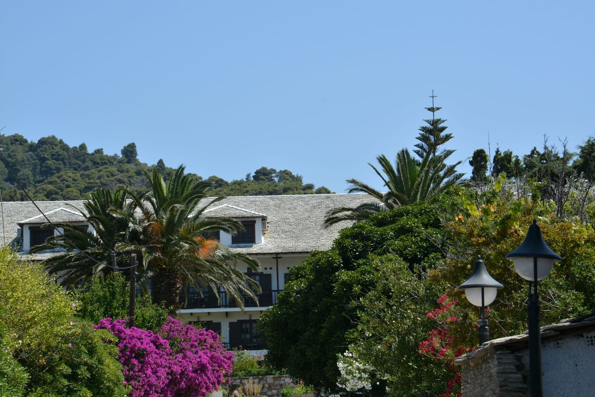 photo